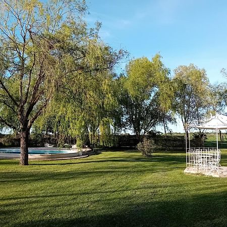 Antico Casale Dei Sogni Agriturismo Луго Экстерьер фото