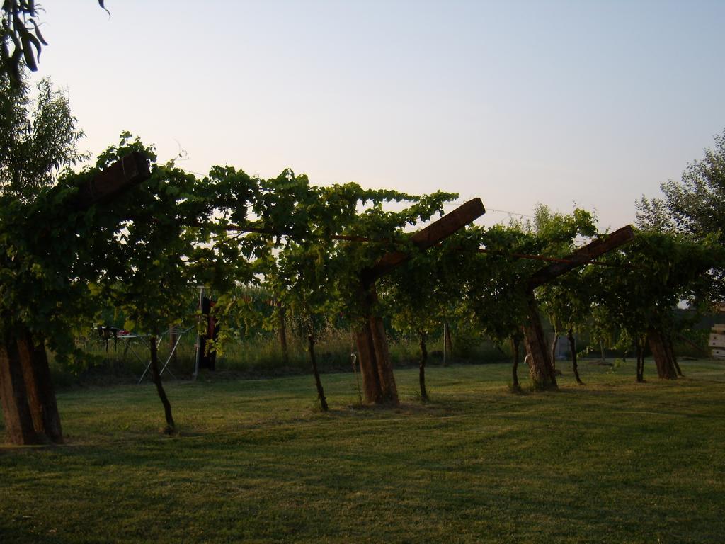 Antico Casale Dei Sogni Agriturismo Луго Экстерьер фото