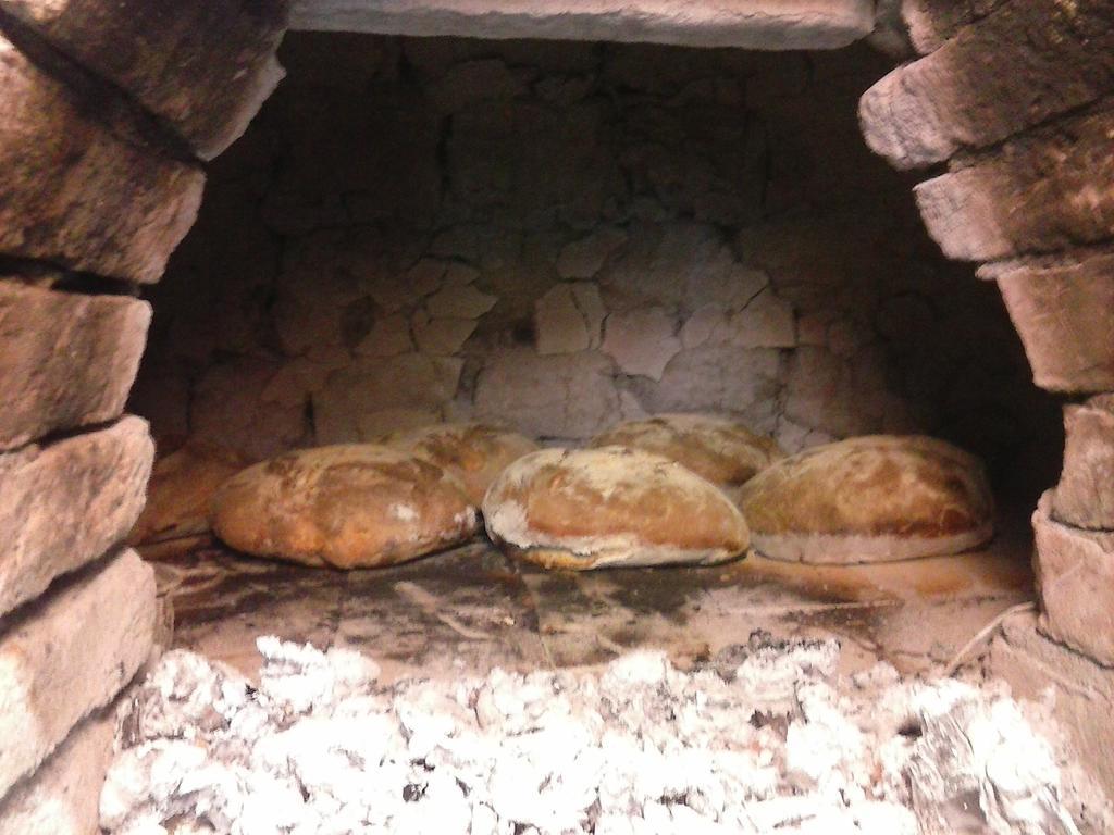 Antico Casale Dei Sogni Agriturismo Луго Экстерьер фото