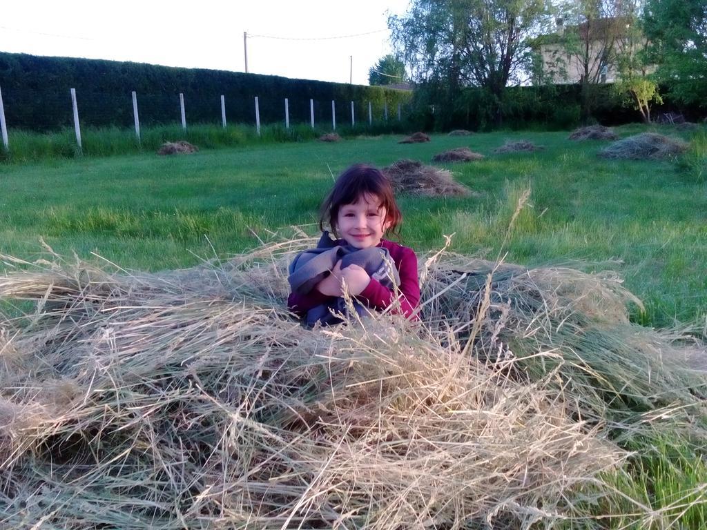 Antico Casale Dei Sogni Agriturismo Луго Экстерьер фото